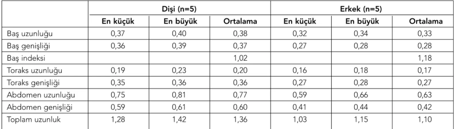 Tablo 1. Felicola subrostratus’a ait bazı morfolojik değerler (mm) 