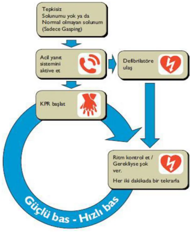 Şekil 2.1. Basitleştirilmiş TYD Algoritması (2010 American Heart Association Guidelines) 