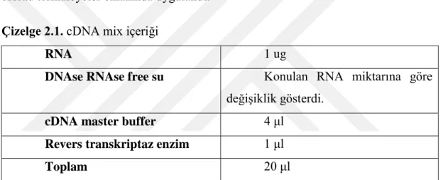 Çizelge 2.1. cDNA mix içeriği 