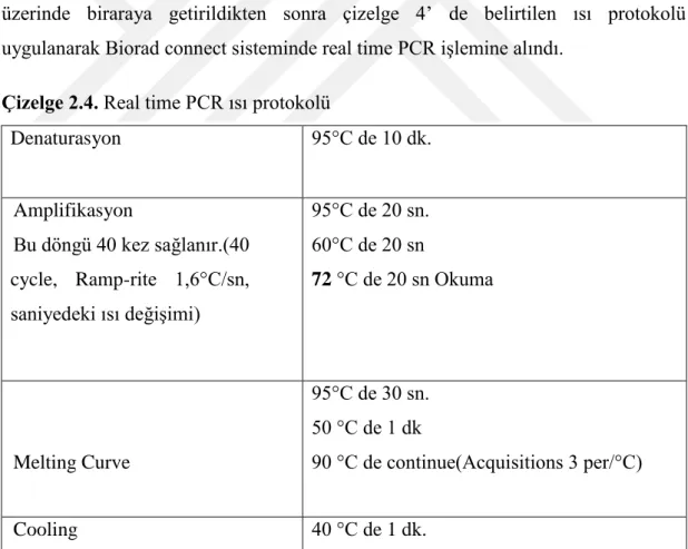 Çizelge 2.4. Real time PCR ısı protokolü 