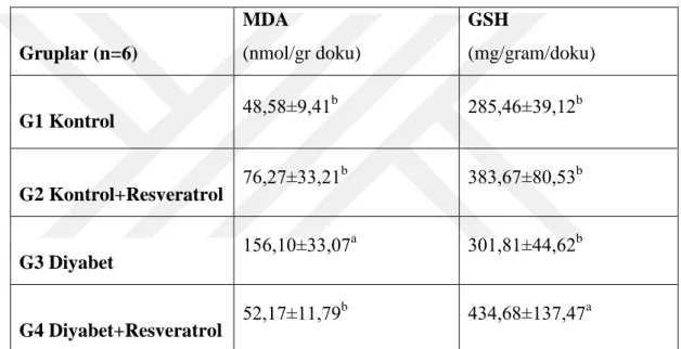 Çizelge  3.1.  Çalışma  Gruplarının  Retinal  MDA  (nmol/gr  doku)  ve    Retinal  GSH  Düzeyleri (mg/gram/doku) Gruplar (n=6)  MDA  (nmol/gr doku)  GSH  (mg/gram/doku)                                                                G1 Kontrol  48,58±9,41 b