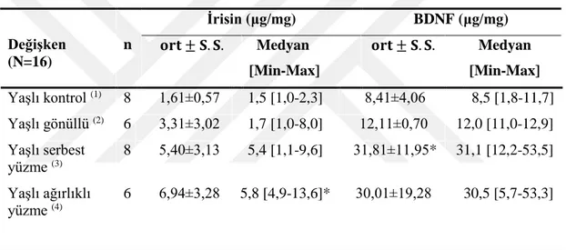 Tablo 3.1. Soleus kasının BDNF ve İrisin protein düzeyleri (ort ± SS)  Değişken  (N=16)  n  İrisin (μg/mg)  BDNF (μg/mg) 