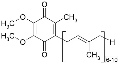 Şekil 1.4.1. KoQ10’nun kimyasal formülü (Gürkan ve Dündar 2005) 1.4.2 KoQ10’un Biyosentezi 