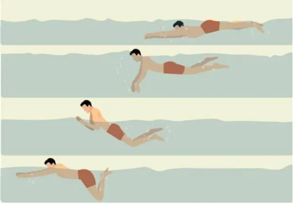 Şekil 1.3. Yüzmede kurbağalama teknik (Swimming Techniques for Kids 2012). 