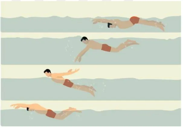 Şekil 1.4. Yüzmede kelebek teknik (Swimming Techniques for Kids 2012). 