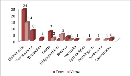 Şekil 3.3. Tüm  balıklardan  tespit  edilen  ektoparazitlerin  (74 adet)   türlere  göre dağılımı 