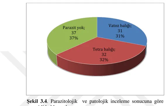 Şekil  3.4.  Parazitolojik    ve  patolojik  inceleme sonucuna göre  parazitli balık sayıları 