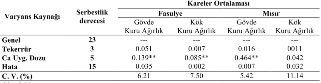Çizelge 4.1.Kalsiyum uygulamaların fasulye ve mısır bitkilerinin gövdesinin ve bitki kökünün kuru  ağırlıklarına ait varyans analiz sonuçları 