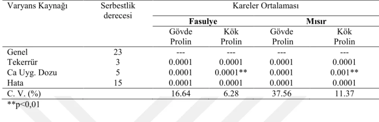Çizelge  8.1.  Kalsiyum  uygulamasının  fasulye  ve  mısır  bitkilerinin  gövdesinin  ve  bitki  kökünün  proline ait varyans analiz sonuçları 