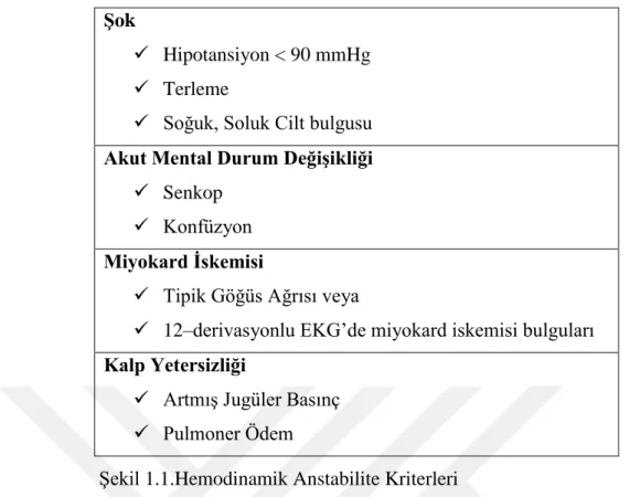 Şekil 1.1.Hemodinamik Anstabilite Kriterleri 