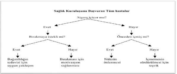 Şekil  1.5.  Sigarayı  bırakmak  isteyenler  için  uygulanacak  talimat  (Akçay  ve  ark  2013)