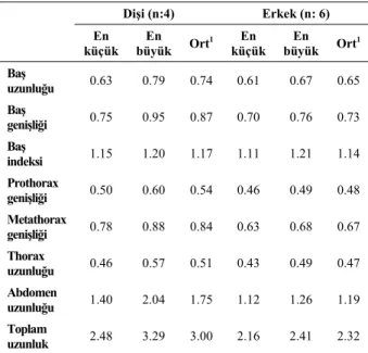 Tablo 3. Ciconiphilus quadripustulatus’a ait bazı morfolojik değerler 