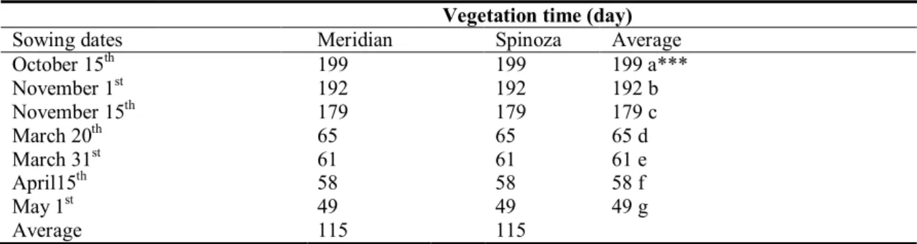 Table 3. Vegetation time (day) for Meridian and Spinoza spinach cultivars sown in different times in the  first production season