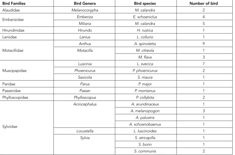 Table 1. Studied bird families, genera and species