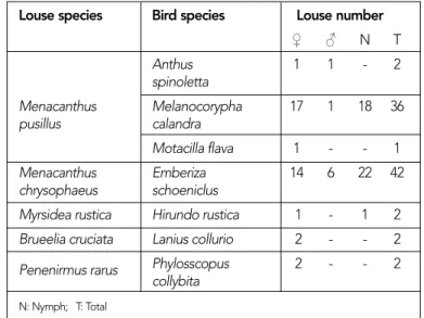Table 3. The distribution of lice collected on examined birds
