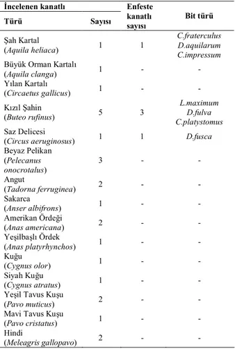 Tablo 1. İncelenen kanatlı türleri, enfestasyon durumları ve tespit  edilen bit türleri 