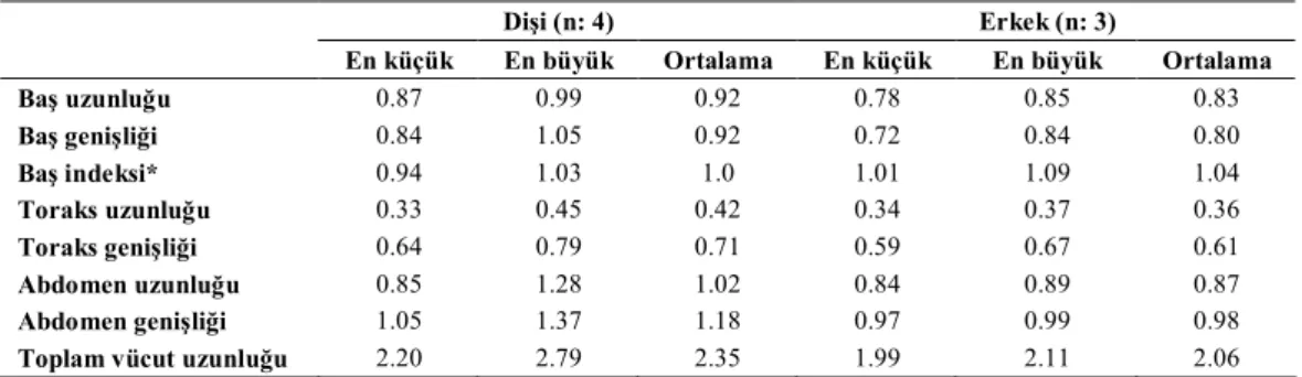 Tablo 3.  Craspedorrhynchus fraterculus’a ait bazı morfolojik değerler 