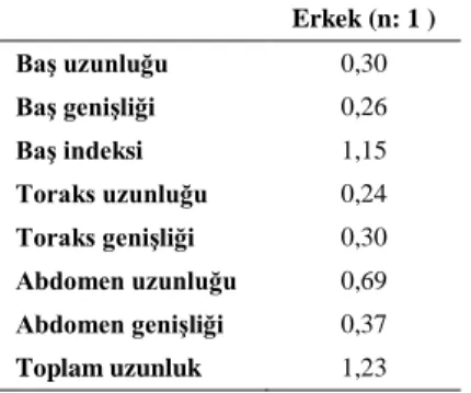 Tablo 3. Brueelia sp’ye ait bazı morfolojik değerler (mm)  Erkek (n: 1 )  Baş uzunluğu  0,30  Baş genişliği  0,26  Baş indeksi  1,15  Toraks uzunluğu   0,24  Toraks genişliği   0,30  Abdomen uzunluğu  0,69  Abdomen genişliği  0,37  Toplam uzunluk  1,23 