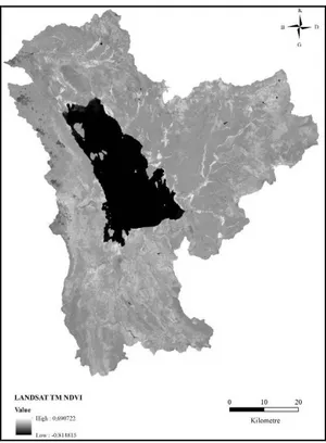 ġekil 6. NDVI (LANDSAT TM)   Figure 6. NDVI (LANDSAT TM) 