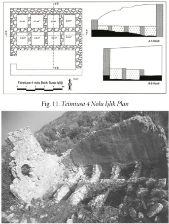 Fig. 10. Teimiusa 4 Nolu İşlik Genel Görünüm 