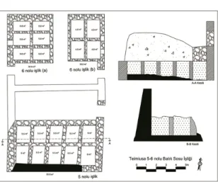 Fig. 13. Teimiusa 5-6 Nolu İşlik Plan 