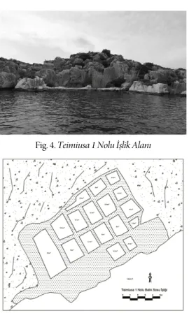 Fig. 4. Teimiusa 1 Nolu İşlik Alanı 