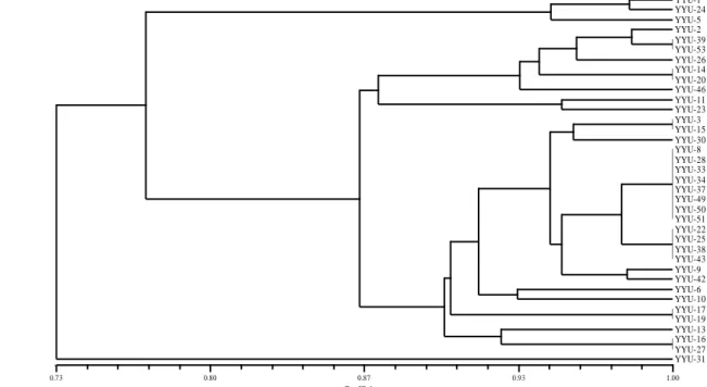 Figure 3. Associations among Lake Van Basin melon genotypes revealed by UPGMA clustering analysis    on the basis of the molecular SM distance values