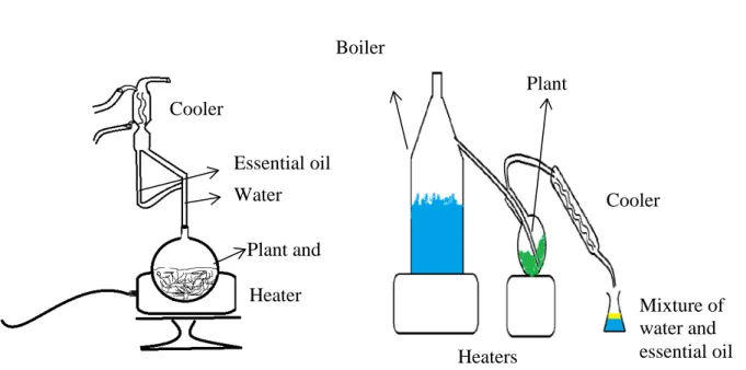 Figure 1. Water and steam distillation