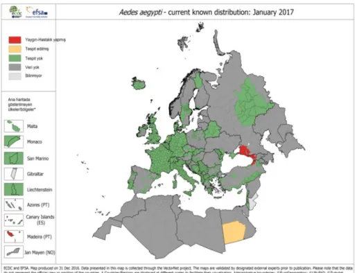 Şekil 4. Ocak-2018’de Aedes aegypti Avrupadaki dağılımı  