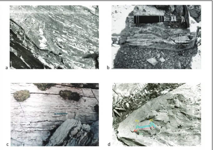 Şekil 6- Masife ait kayaçlarda görülen yapılar. a- Gümüşler metamorfitlerindeki gnayslarda görülen tabaka transpozisyonu ve yalınmış kıvrım  yapıları
