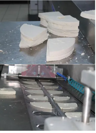 Figure 6. Maturation in the Skin Bags. 
