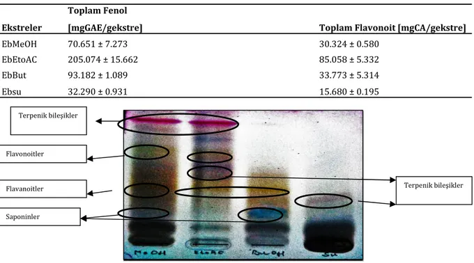 Tablo 1. E. billadieri ile hazırlanan ekstrelerinin toplam fenol ve flavonoit içerikleri