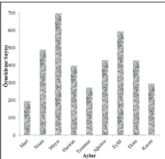 Şekil 2. Çalışma alanında gerçekleştirilen örnekleme  sayılarının aylara göre dağılımı