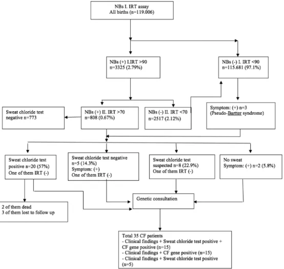 FIG. 1. Cystic fibrosis newborn screening algorithm and results overview.