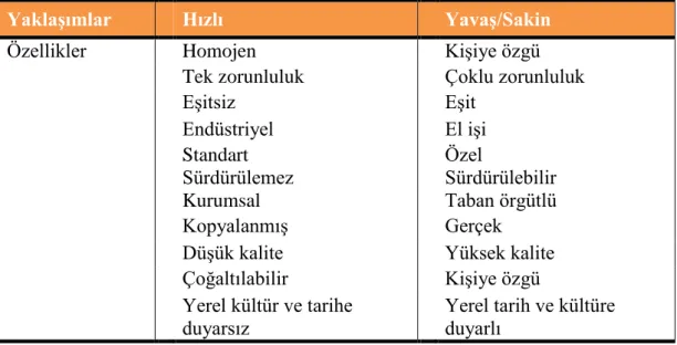 Tablo 3: Hızlı ve Yavaş Akımlarının Karşılaştırılması 