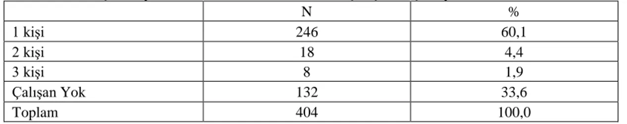 Tablo 4.16. Araştırmaya Katılan Annelerin Evlerinde Çalışan Kişi Sayısı 