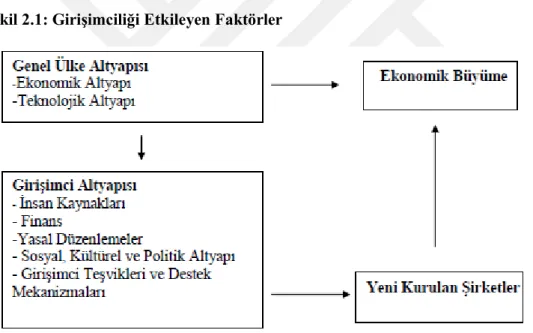 Şekil 2.1: Girişimciliği Etkileyen Faktörler 