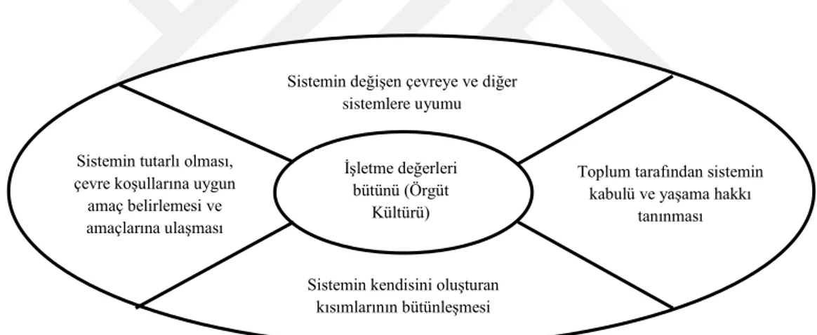 Şekil 1.2: Parsons Modelinde Kültürel Değerlerin Fonksiyonları (Erol, 2015: 143). 