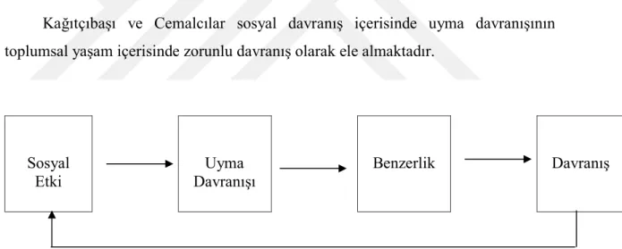 Şekil 2: Sosyal Davranışın Nedenleri  (Kağıtçıbaşı ve Cemalcılar, 2016:68) 