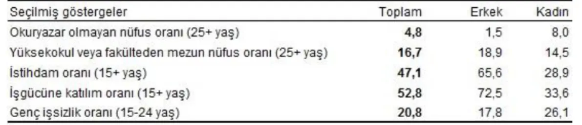 Tablo 1. Cinsiyete göre seçilmiş göstergeler, 2017 (TÜİK, 2018)