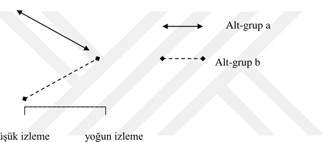 Şekil 2: Hipotez 2 