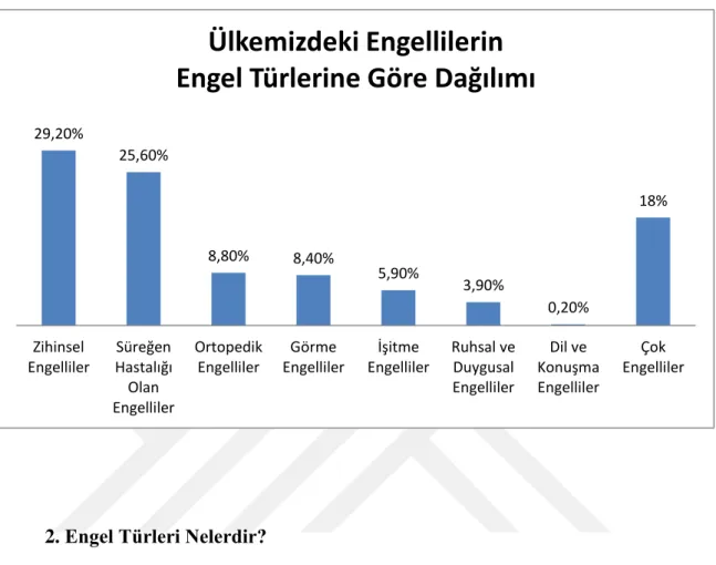 Grafik 1. Ülkemizdeki Engellilerin Engel Türlerine Göre Dağılımı (TÜİK, 2011) 