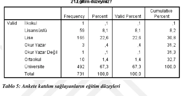 Tablo 5: Ankete katılım sağlayanların eğitim düzeyleri 