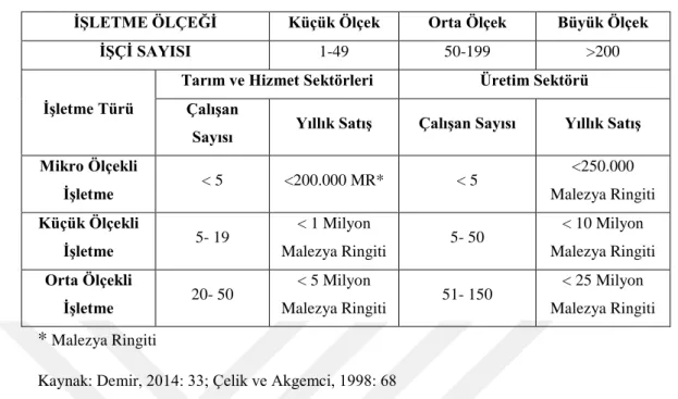 Tablo 17: Hindistan’da KOBİ Ölçeği 