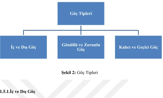 Şekil 2: Göç Tipleri