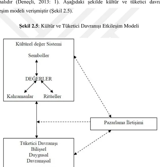 ġekil 2.5: Kültür ve Tüketici Davranışı Etkileşim Modeli 