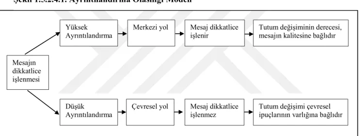 Şekil 1.5.2.4.1. Ayrıntılandırma Olasılığı Modeli 