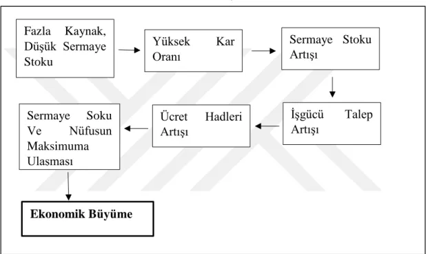 Şekil 3. 1: A. Smith Yaklaşımı Çerçevesinde Büyüme Süreci 