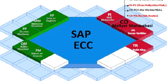 ġekil 6: SAP Organizasyon ġeması 