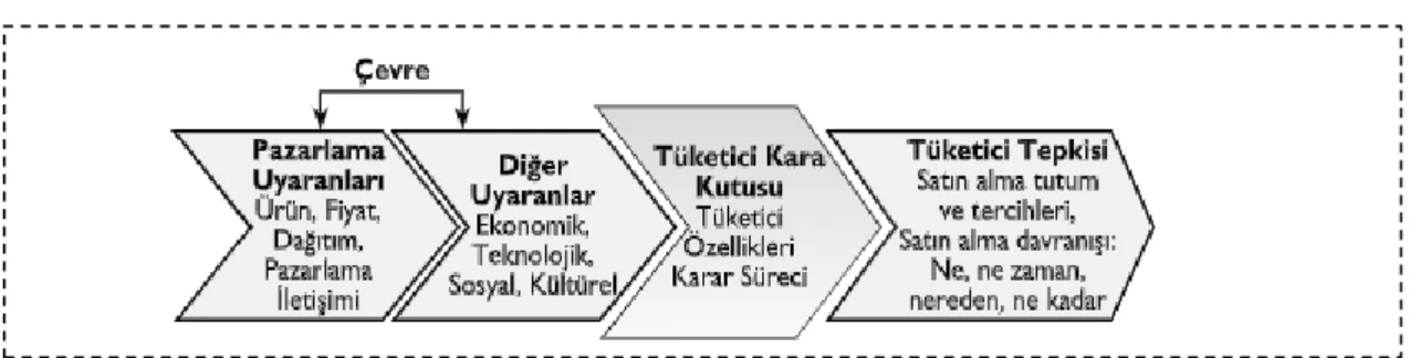 Şekil 2.1: Kara Kutu Modeli 